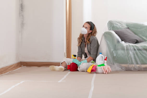Reliable Black Mold Remediation contractor in Kingsville, TX by Mold Remediation HQ